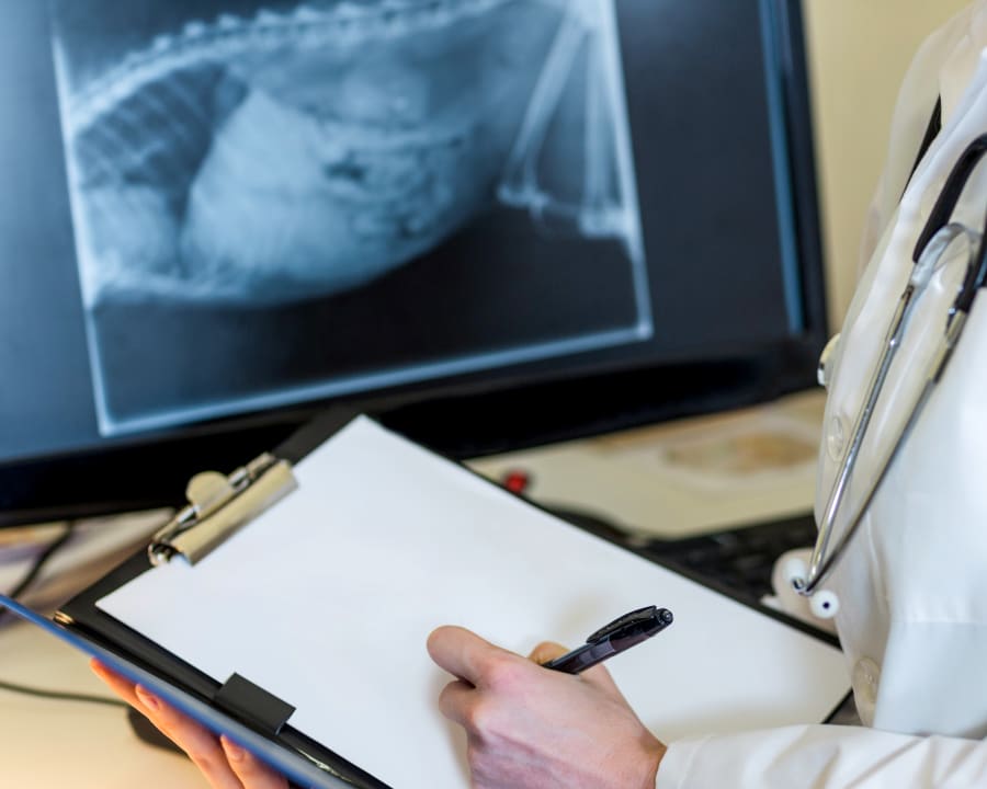 Veterinary Diagnostic Lab & Pharmacy in Wiggins