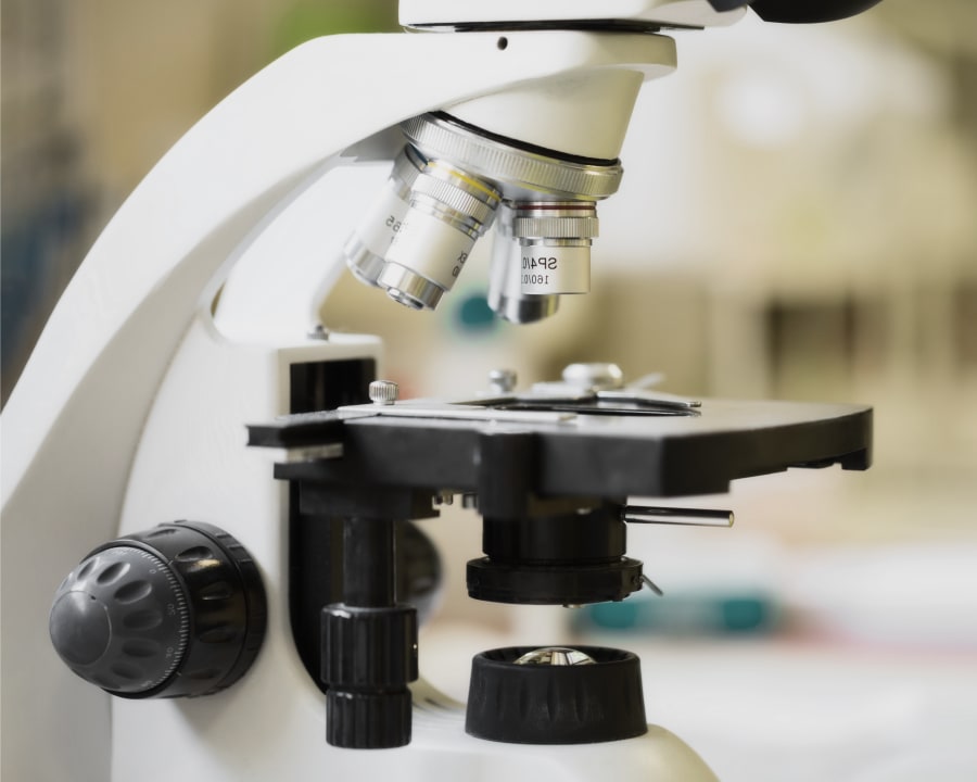 Diagnostic & Lab Technology, Wiggins Vet
